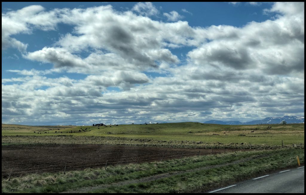 Green farmlands with horses in distance