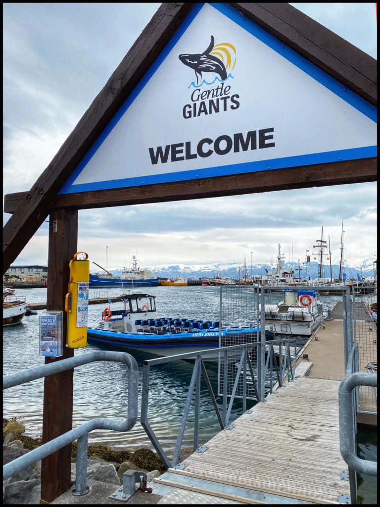 Gentle Giants Rib Boat Pier