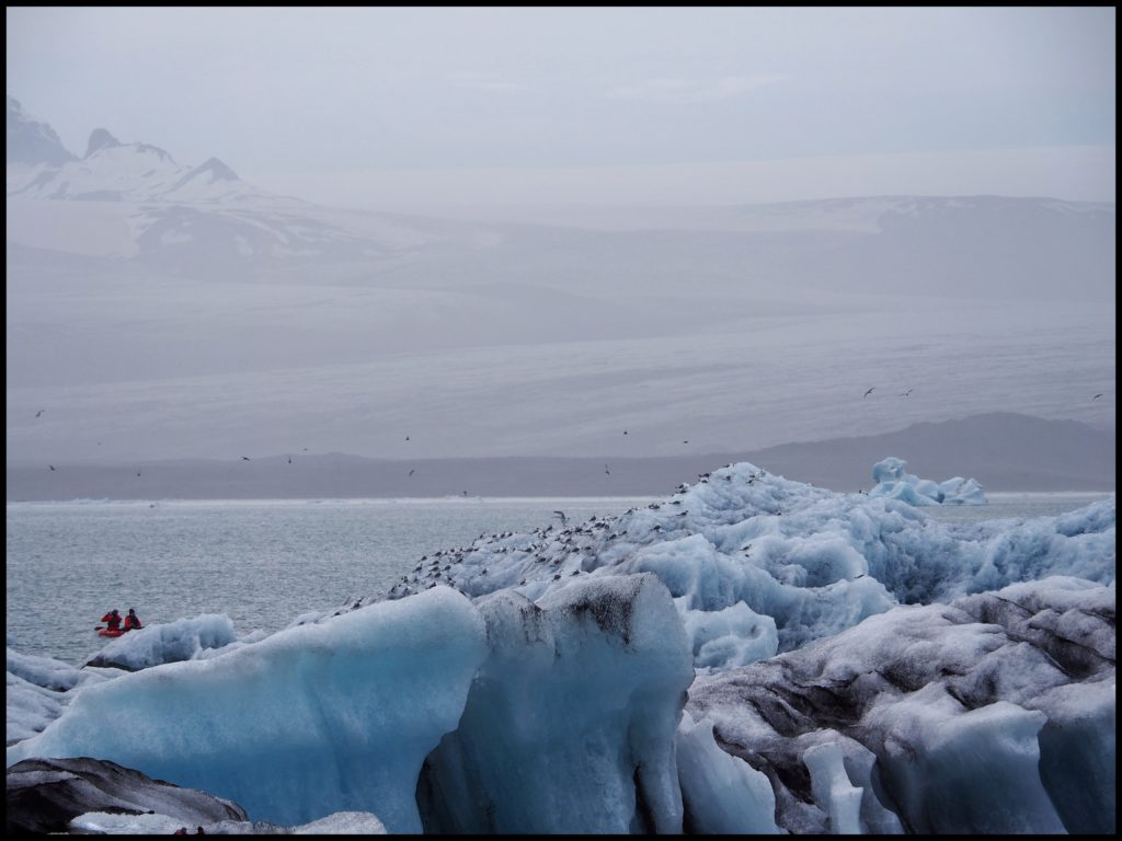 Icebergs with birds and people Kayaking