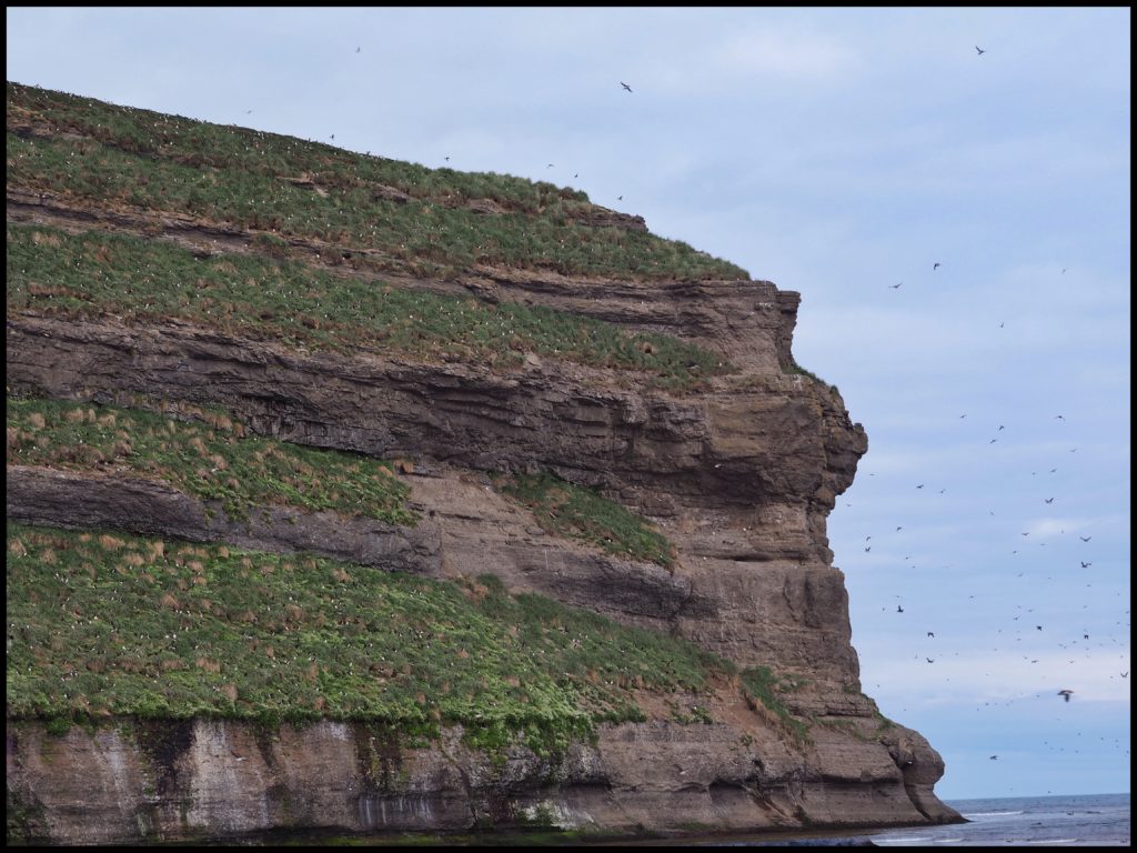 Puffin Island