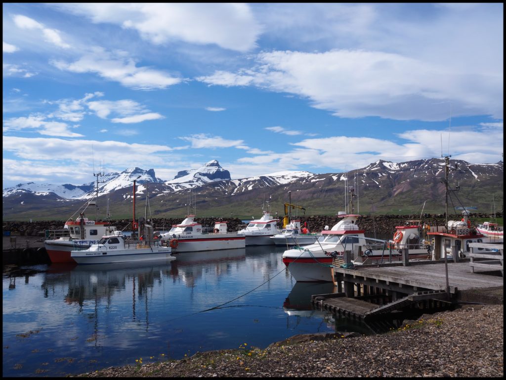 Boats in harbor with views of mountains