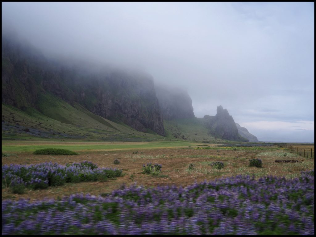 Rocky landscape with clouds and lupines near Vik