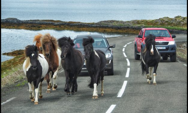 Day 4: Finishing up the Westfjords and heading North