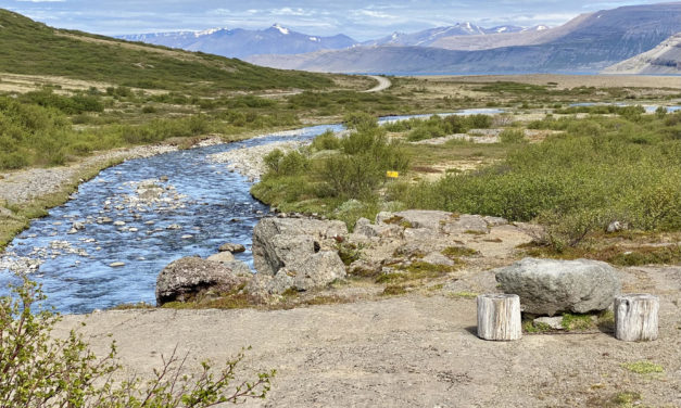 Roadside picnic area