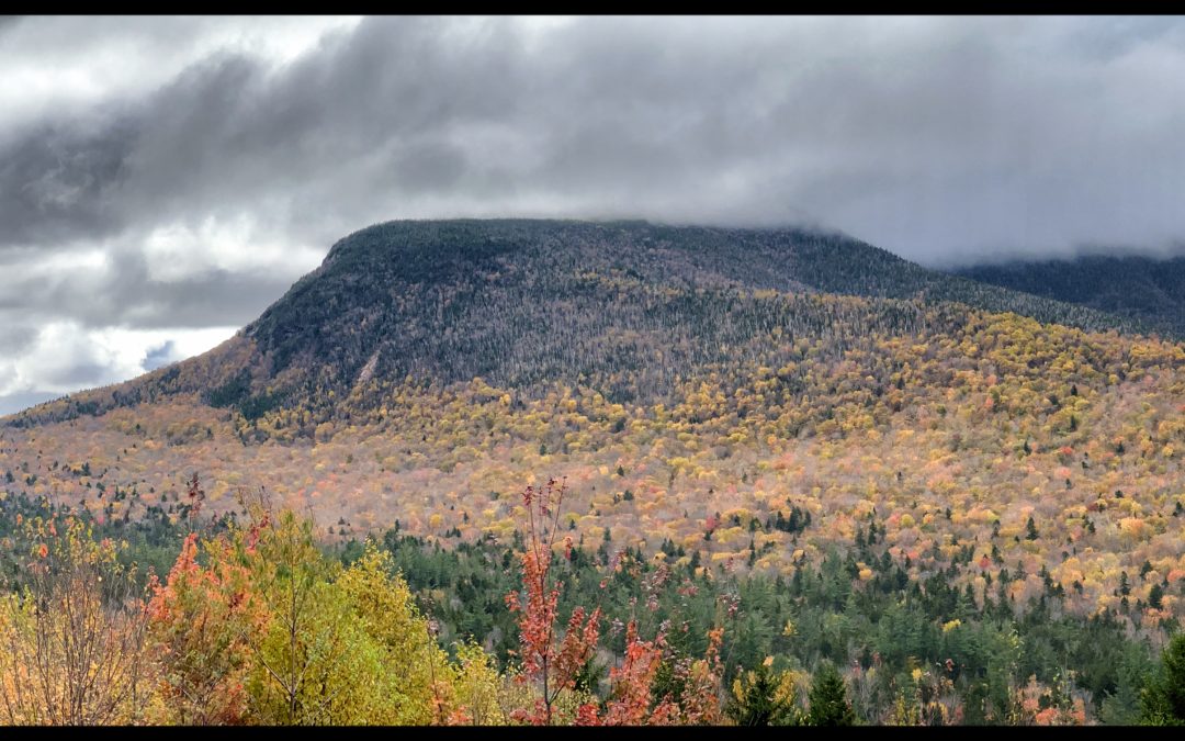 Exploring White Mountain National Forest
