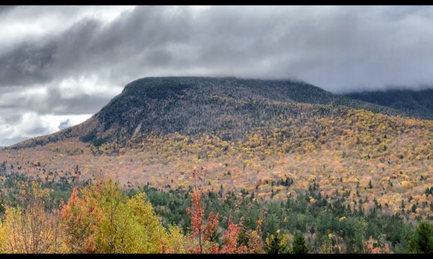 Exploring White Mountain National Forest