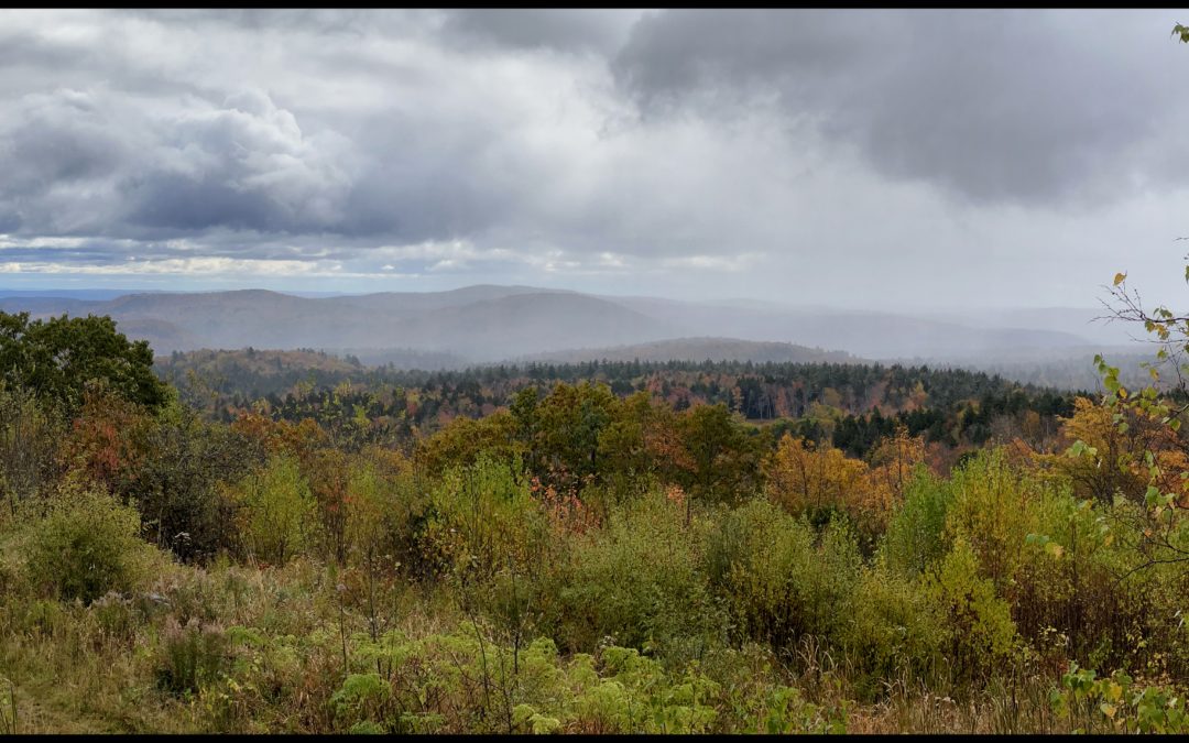 On the Road to Lincoln, NH