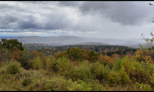 On the Road to Lincoln, NH